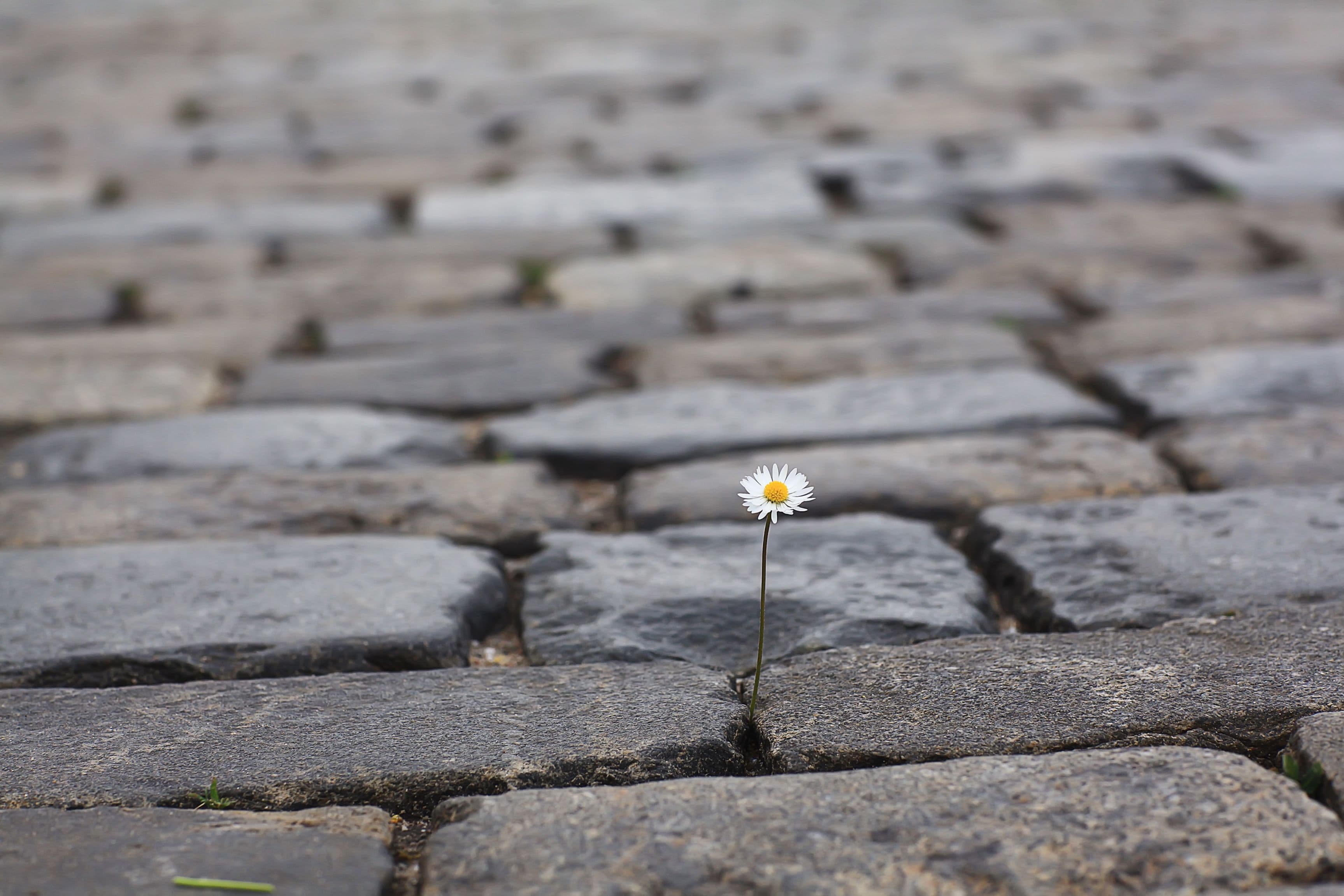 What’s ready to grow?